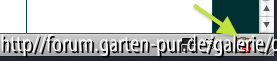 Icon in der Symbolleiste