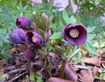 DSCN9302.JPG