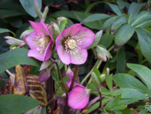 DSCN9301.JPG