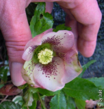 DSCN9324.JPG