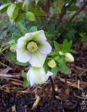 DSCN9341.JPG