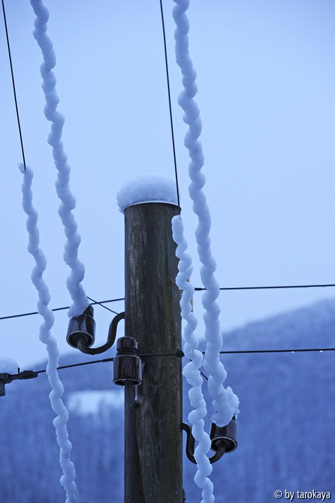 schlangenschnee