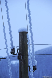 schlangenschnee