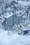 schneetreiben 17. jan14
