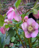 DSCN9422.JPG