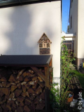 DSCN9770.JPG