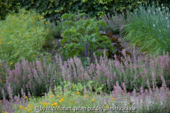 Teucrium Beetumrandung