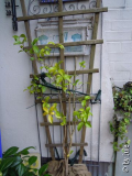 DSCN9782.JPG