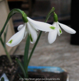 'David Baker'