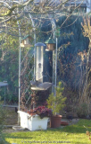 Futtersäule-Tauben_14-1.jpg
