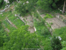 Garten Kroatien1