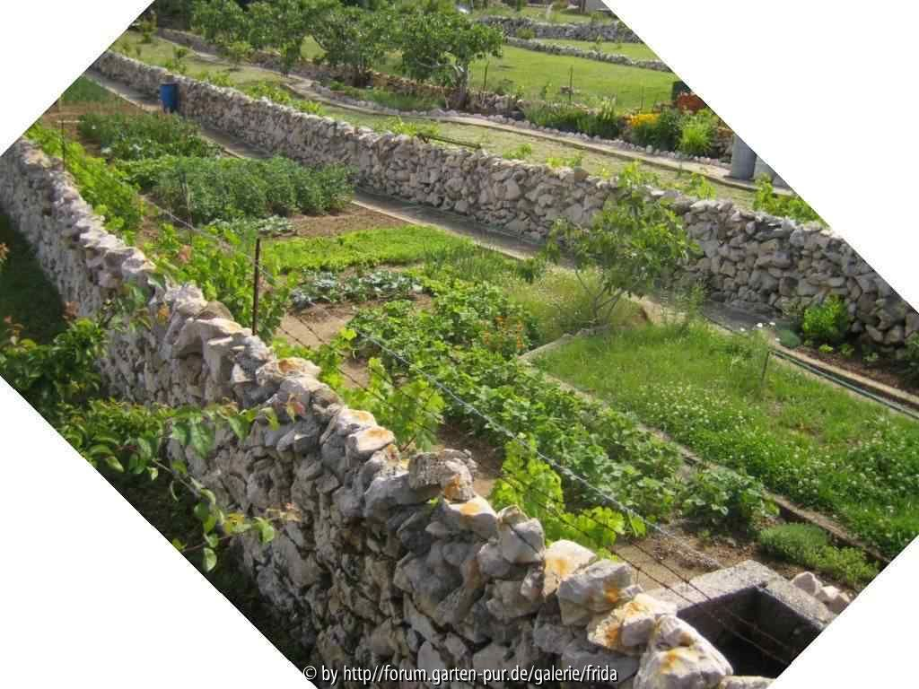Kroatien Garten2