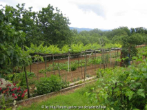 kroatien Garten3