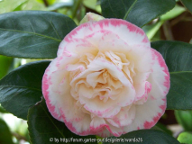 Margaret Davis