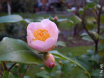 DSCN9960.JPG