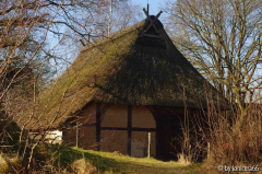 haus1