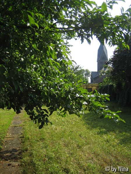 Blick von hinten 1