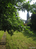 Blick von hinten 1