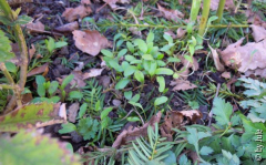 DSCN0058.JPG