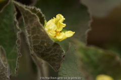 DSC072122.jpg