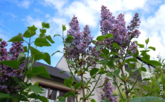 DSCN0656.JPG