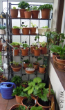 DSCN0720.JPG