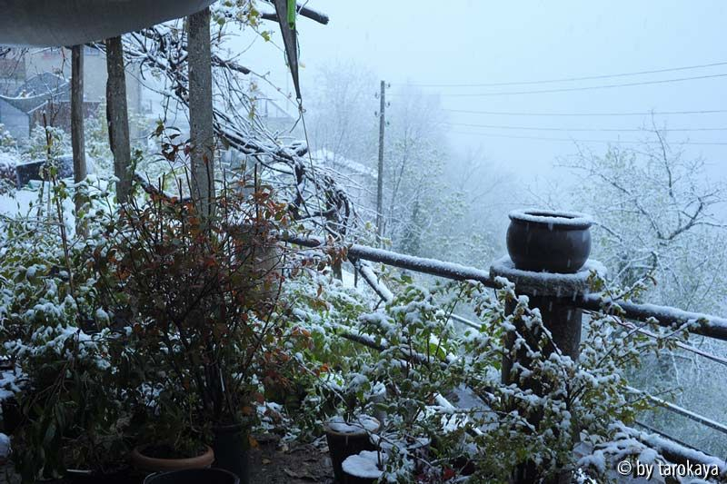 schnee 19.4.14