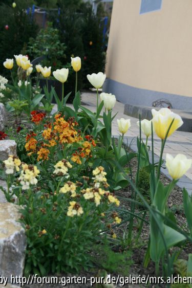 2014-04Seitenstreifen