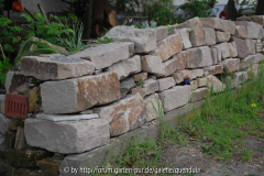 Detail - Mauer mit Briza media 'Russels'