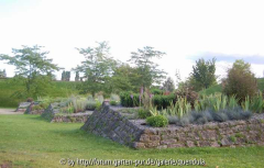 Volkspark Potsdam - Pyramidengarten
