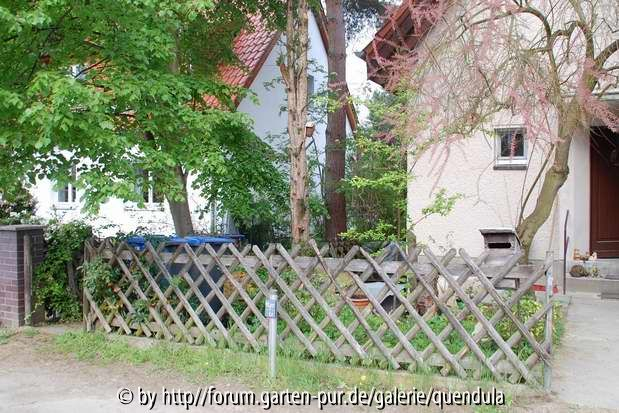 Situation 2012 Blick von der Straße