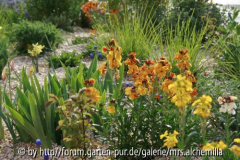 2014-04-23 Detail