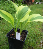DSCN0747.JPG