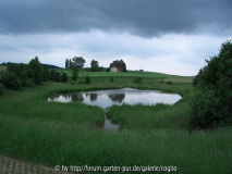 teich12.JPG