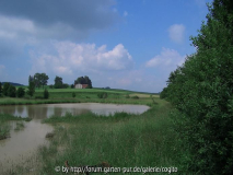teich14.JPG