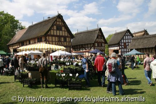 Hessenpark II