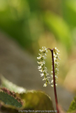 DSC086122.jpg