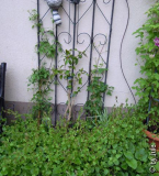 DSCN0842.JPG