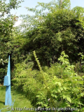 DSC02236a.jpg
