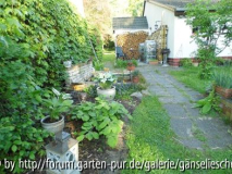 Einblick_16_5.JPG