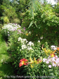 DSC02241a.jpg