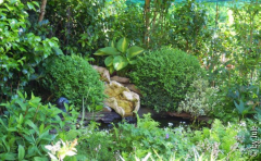 DSCN0863.JPG