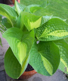 DSCN0859.JPG