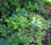 DSCN0850.JPG