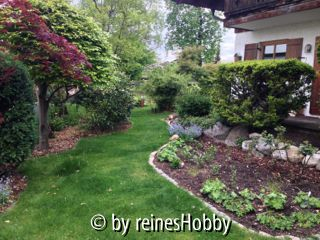Der Garten am Bach