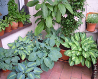 DSCN0930.JPG
