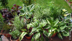 DSCN0892.JPG