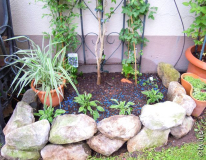 DSCN0937.JPG
