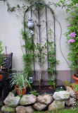DSCN0936.JPG