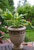 DSCN0934.JPG